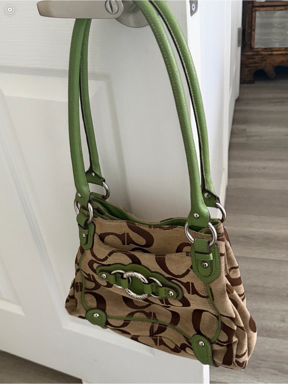 Sophia Caperelli Signature Canvas Shoulder Bag in Tan and Green